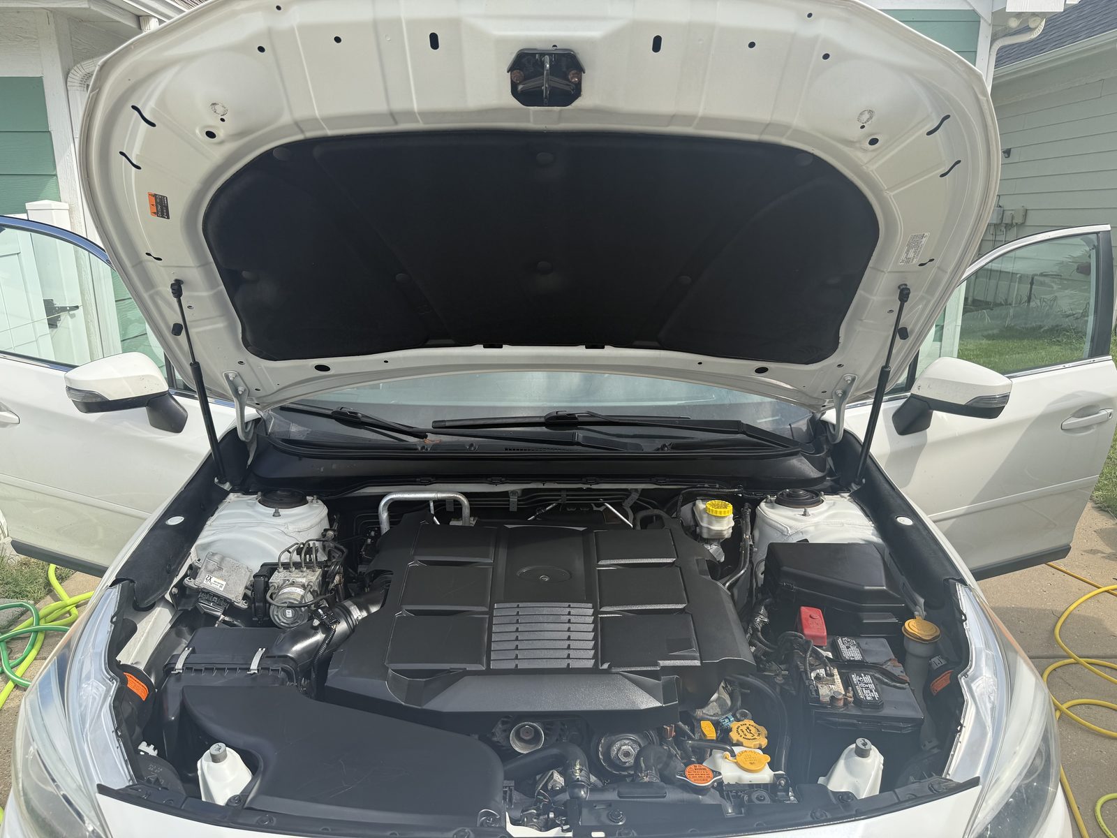 Subaru engine bay after detailing