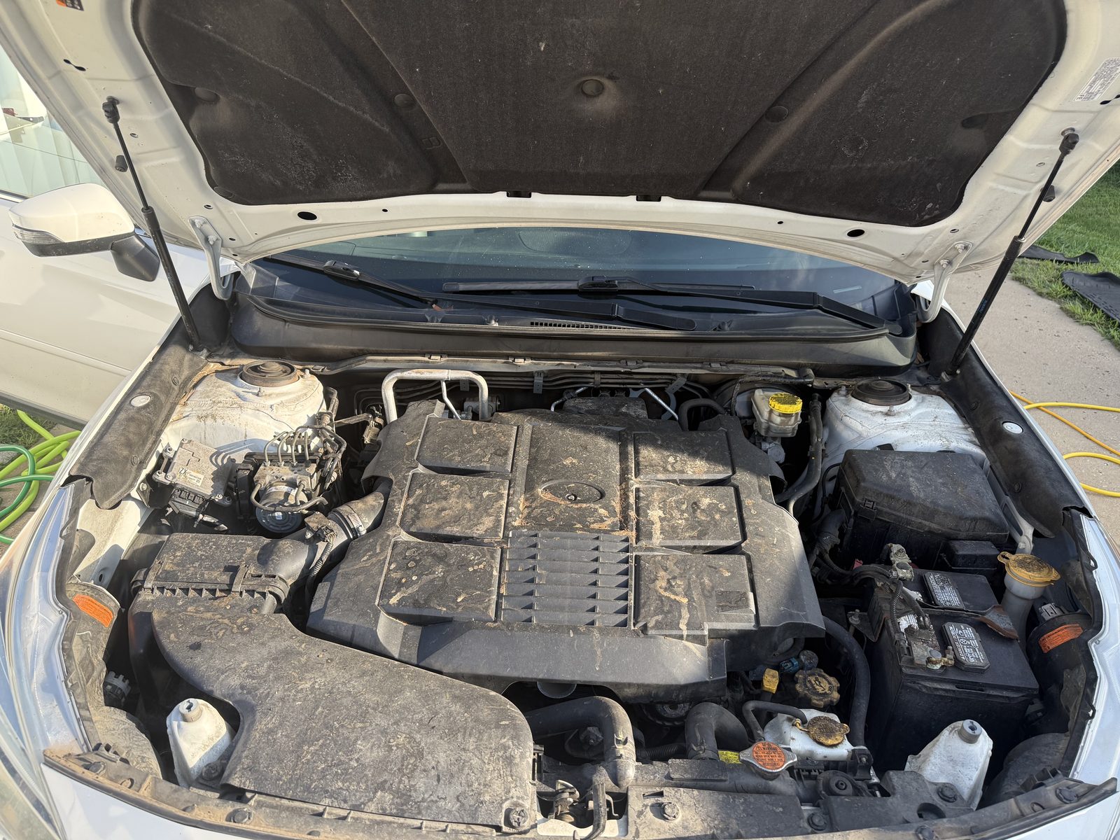 Subaru engine bay before detailing